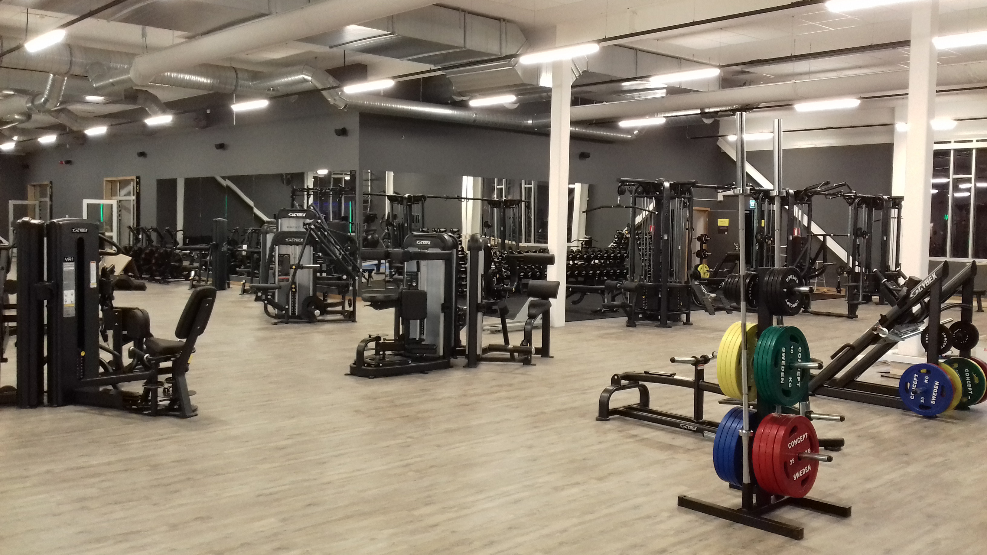 4 wires 1 phase DALI dimmable Linear Track lights in GYM Sweden